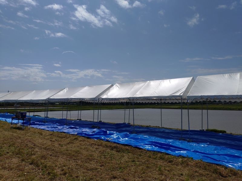 活気会の設営事例